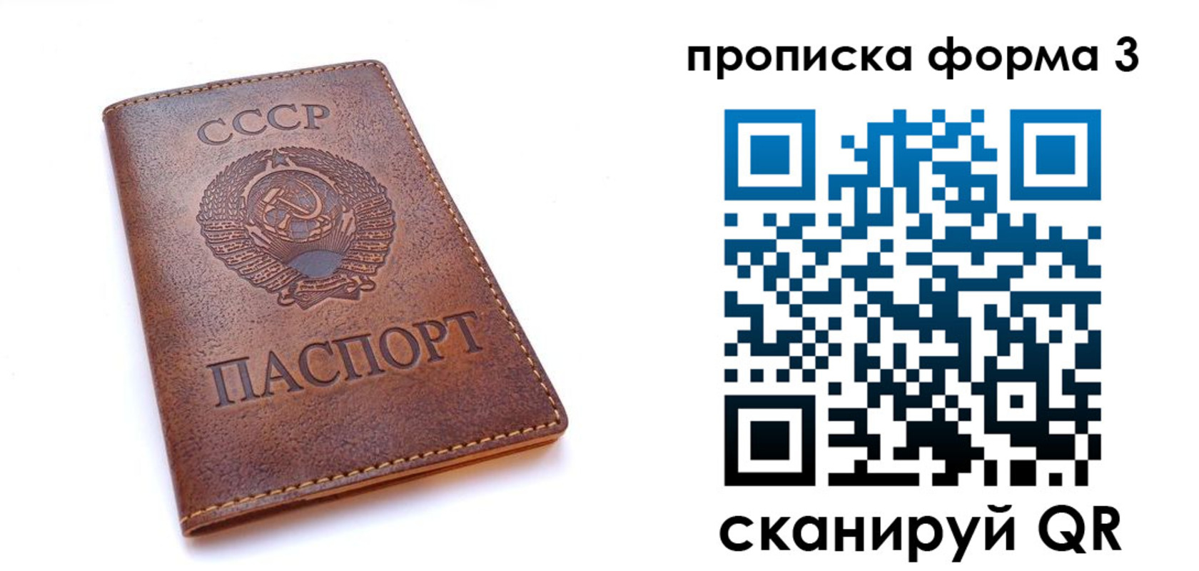 временная прописка в Сертолово